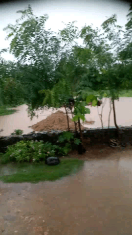 ग्राम पंचायत अरवर बावड़ी गांव में तेज बारिश के कारण घरो  के अंदर जल भराव