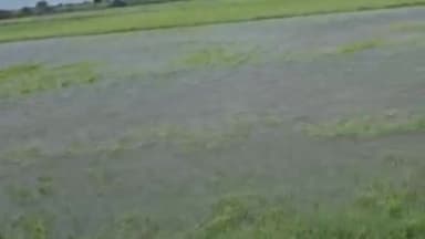 पीपलदा: नहरी पानी के लिए बनाई ड्रेनों की सफाई न होने से इटावा में बारिश का पानी खेतों में भरा, संभागीय आयुक्त को सौंपा ज्ञापन