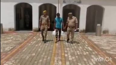 तुलसीपुर: थाना पचपेड़वा की पुलिस ने पशुक्रूरता अधिनियम के वांछित अभियुक्त को किया गिरफ्तार