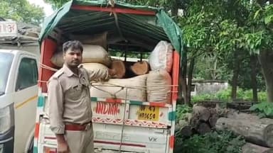 बलरामपुर जनपद के सोहेलवा वन्यजीव प्रभाग में वनकटवा रेंज में अवैध जंगली खैर के पेड़ों का कटान जारी। वन माफिया हो रहे माला