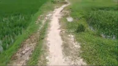 पलासी: बरकुम्भा मे बिना सड़क और एप्रोच  के ही विभाग ने बना दिया पुल, ग्रामीण हल्कान