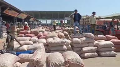 शाजापुर: शाजापुर कृषि उपज मंडी में सोयाबीन 4279 रुपए क्विंटल और प्याज 3400 रुपए क्विंटल तक बिका