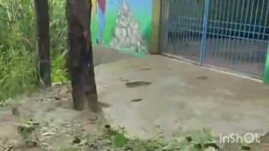 नावकोठी: महेशवारा के कचरा संग्रहण केंद्र से अज्ञात चोरों ने कुर्सी एवं लोहे के गेट का किया चोरी,थाना को किया गया सूचित