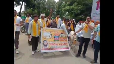 जगाधरी: यमुनानगर के जिला सचिवालय में आज गौभक्तों ने गौवंश के सम्मान और गौवंश की हत्या को  विरोध में किया प्रदर्शन।