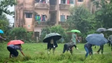 पूर्णागिरि: वन निगम परिसर टनकपुर में सहायक वन संरक्षक के नेतृत्व में पर्यावरण संरक्षण के लिए भारी बरसात में भी चलाया गया अभियान