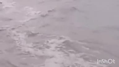 गोंडा: घाघरा नदी जलस्तर डेंजर लेवल से 39 सेंटीमीटर ऊपर, DM ने बाढ़ चौकियों को अलर्ट रहने के दिये निर्देश