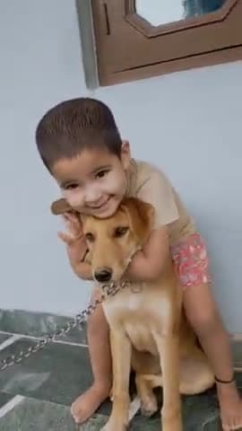 हमारी प्यारी लियाना 🌹💐
#liyana