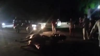 सिराथू: बनारस से दिल्ली जा रहा बाइक सवार युवक गुरुकुल स्कूल के पास हाईवे पर बैठे गोवंश से टकराकर गंभीर रूप से हुआ घायल