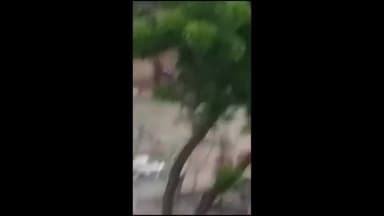 सिराथू: जमीनी विवाद को लेकर नगियामई गांव में एक ही परिवार के भाइयों के बीच चले लाठी डंडे, वीडियो हुआ वायरल