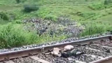 परळी: परळी जवळ असलेल्या मलकापूर शिवारात रेल्वे अपघात