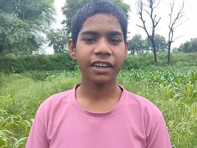 Karauli Barkheda badi par pani ka bahav #karauli #pachnabandh
@news