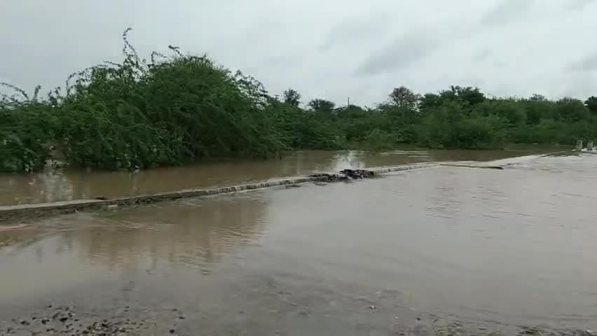SH-02 डाबिच गांव, फागी - चाकसु रोड़ पर बांडी नदी उफान पर है 

फागी - चाकसू और डाबिच - वाटिका जाने वाले सावधान रहें
