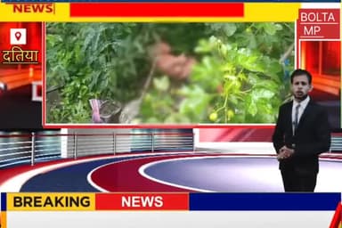 भांडेर में एक कलयुगी मां ने बच्ची को सब रजिस्टार ऑफिस की पीछे लगी झाड़ियां में फेंका।@#@#