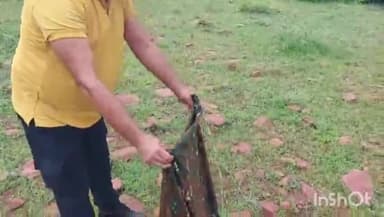 धौलपुर: झोर वाली माता के पीछे कॉलोनी में घर में निकला अजगर सांप मचा हड़कंप