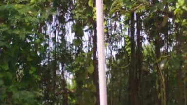 स्वतंत्रता दिवस समारोह रोहतास