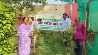 शाहजहांपुर: कृषि विज्ञान केंद्र नियामतपुर में किसानों को गाजर घास के प्रति किया गया जागरूक, दुष्प्रभावों की दी गई जानकारी