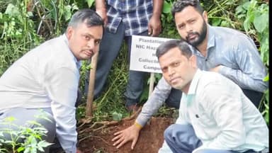 हज़ारीबाग: हजारीबाग एनआईसी के कर्मियों द्वारा समाहरणालय परिसर में पौधा रोपण कर,एक पेड़ मां के नाम अभियान के तहत किया वृक्षारोपण।