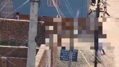 जमुई: झाझा इलाके में नाबालिग प्रेमी जोड़े को मिलते हुए एक महिला ने खदेड़ा, प्रेमी जोड़ा पर ईंट फेंकते हुए वीडियो हुआ वायरल