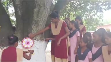 कस्बा: गढ़बनैली रामानंद मध्य विद्यालय की छात्राओं ने पेड़ को बांधी राखी