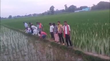 बिहिया: रक्षा बंधन के अवसर पर पूर्व विधायक भाई दिनेश ने किसानो के धान के पौधे में रक्षा सूत्र बांध कर धान फसल बचाने का लिया संकल