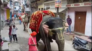 सासाराम: सासाराम अंतिम सावन के सोमारी रक्षाबंधन के अवसर पर भव्य जुलूस कार्यक्रम का आयोजन किया गया