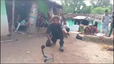 सिरोंज: ग्राम पंचायत छापू में कच्चे मकान से सर्प मित्र ने ज़हरीले सांप का किया रेस्क्यू, सुरक्षित जंगल में छोड़ा गया