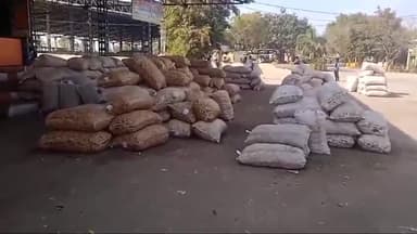 शाजापुर: शाजापुर कृषि मंडी में ₹4162 प्रति क्विंटल तक बिकी सोयाबीन, ₹24000 प्रति क्विंटल तक पहुंचे लहसुन के दाम