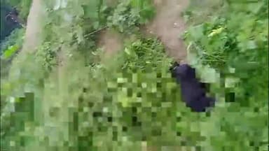 डलमऊ: करंट की चपेट में आने से एक बकरी की हुई मौत, ग्रामीणों ने बिजली विभाग पर लगाया लापरवाही का आरोप