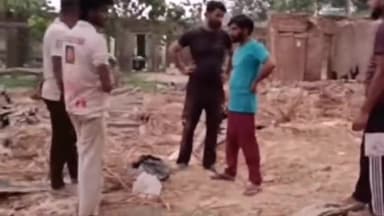 जगाधरी: साढ़ौरा में मुर्गी फार्म की छत गिरने से 1500 मुर्गियों की हुई मौत, मलिक को ढाई लाख रुपए का हुआ नुकसान