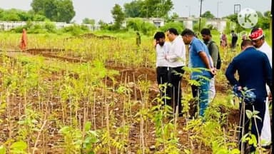 ललितपुर: जिलाधिकारी ने अमरपुर मंडी परिसर में मियावाकी पद्धति से किए गए वृक्षारोपण का किया निरीक्षण, दिए आवश्यक दिशा निर्देश