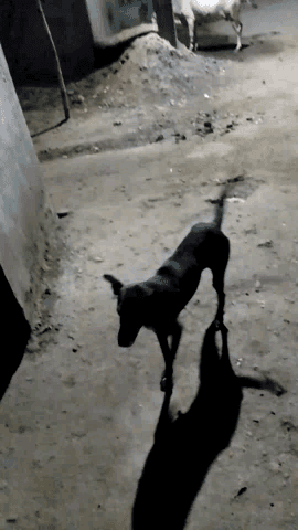 gram Panchayat musi Khap@#