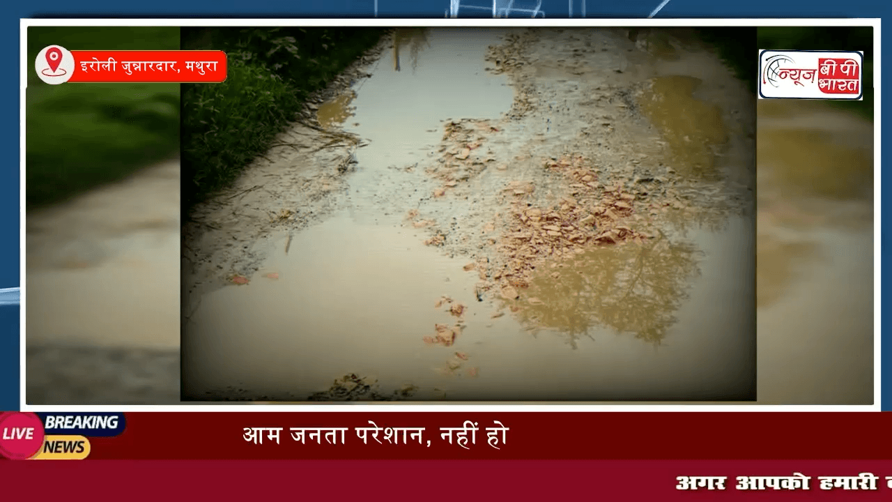 Mathura : गांव इरौली जुन्नारदार आम जनता परेशान, नहीं हो रहा समस्याओं का समाधान...

#मथुरा #इरौलीजुंनारदार #समस्या #सड़क #राजनीति #यूपीन्यूज़ #india #tranding #सुरीर