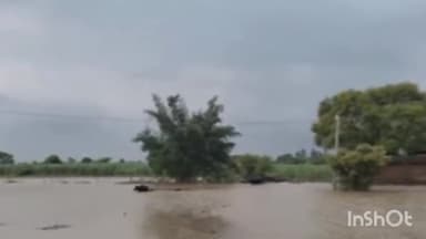 गोंडा: गोंडा में घाघरा नदी का जलस्तर खतरे के निशान से 55 सेंटीमीटर ऊपर, बाढ़ चौकियां अलर्ट