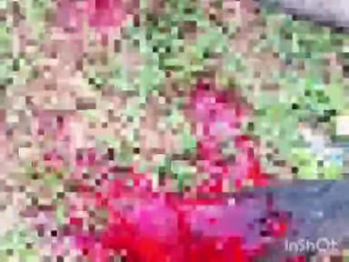 बल्देवगढ़: बल्देवगढ़ पलेरा मार्ग खरगापुर के पास ट्रक चालक ने गाय के बछड़े को मारी टक्कर, बछड़ा गंभीर रूप से हुआ घायल