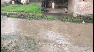 शाहनगर: पन्ना जिले में इस वर्ष एक जून से 24 अगस्त तक 832.3 मिमी औसत वर्षा दर्ज की जा चुकी है = जन संपर्क विभाग पन्ना