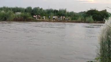 थाना औँछा क्षेत्र के ग्राम नगला भमी के एक व्यक्ति ने जोरीनगर पुल से  नदी में लगाईं छलग 
#popularvideo #village@mainpuri