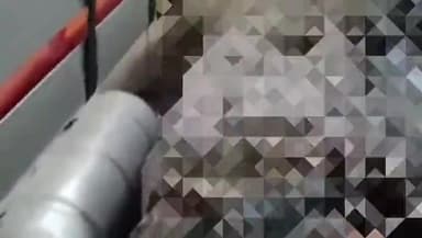 जलालगढ़: एनएच-57 मिश्रीनगर के सौतारी चौक के निकट मोटरसाइकिल की टक्कर से घायल हुआ था एक व्यक्ति, उपचार के दौरान हुई मौत