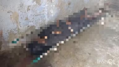 हरदोई: पनहइया गांव के पास तेज रफ्तार पिकअप डाला ने पैदल जा रहे युवक को रौंदा, हुई मौत