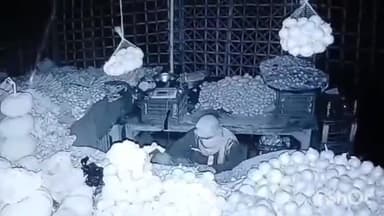 गोंडा: सिविल लाइन प्रधान डाक घर के पास सब्जी की दुकान में चोर ने मुंह में गमछा लगाकर ₹36000 की किया चोरी, घटना CCTV में कैद