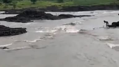 गुना नगर: घोड़ापछाड़ नदी का जलस्तर अचानक बढ़ने से टापू पर फंसे पिकनिक मनाने गए 11 लोग, रेस्क्यू टीम ने बचाई जान