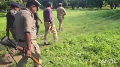 बिजनौर: गांव जलालपुर के जंगल में खूंखार गुलदार की तलाश में घूम रही हथियारों से लैस वन विभाग की टीम