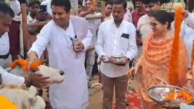 मिर्ज़ापुर: अस्थाई गौवंश आश्रय स्थल टांडा फाल में जन्माष्टमी कार्यक्रम का छानबे विधायक और डीएम ने दीप जलाकर किया शुभारंभ