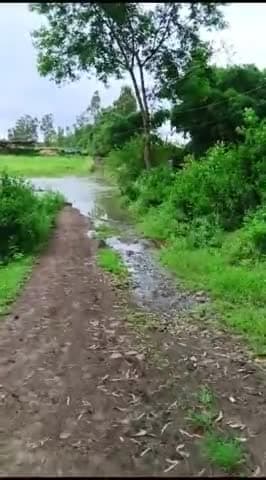 होगा हमारा रास्ता जाम होगा अब डैम के कारण बंद है ना बच्चे स्कूल जा सकती है पढ़ने के लिए परेशान है पूरे