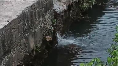 शाजापुर: शाजापुर वार्ड क्रमांक 28 में गंदे नाले का पानी तालाब के पानी को कर रहा दूषित,बीमारियों का बढ़ रहा खतरा