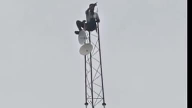 हुज़ूर: भोपाल के बरखेड़ी में टावर पर चढ़ा युवक, नीचे कूदने की दी धमकी