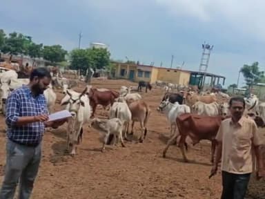 सारंगपुर: सारंगपुर क्षेत्र की गौशालाओं का पशु चिकित्सा विभाग के अधिकारियों, मोबाइल टीम ने गोवंशों की गणना कर किया सत्यापन