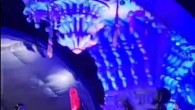 बदनावर: बदनावर में धुमधाम से निकली भगवान शंकर की अंतिम राजसी सवारी,पहलवानों ने दिखाए हैरतंगेज करतब।