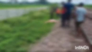 औरैया: दिबियापुर क्षेत्र के कंचौसी रेलवे क्रॉसिंग के पास मेमू पैसेंजर ट्रेन से गिरकर महिपाल पुरवा निवासी महिला की मौत