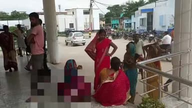 कहरा: बख्तियारपुर थाना क्षेत्र के नया टोला में सुबह फूल तोड़ने गई महिला को सर्प ने डसा हुई मौत पोस्टमार्टम को भेजा सदर अस्पताल