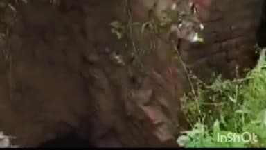 बाह: तेज वर्षा से गुंजन पुरा की पुलिया धंसी, चार पहिया वाहनों की आवाजाही हुई ठप